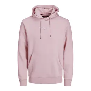 Sudadera Jack & Jones Bluarchie image-0
