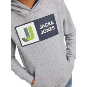 Child hoodie Jack & Jones Logan image-5
