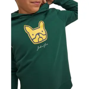 Child hoodie Jack & Jones Comrade image-5