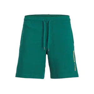 Short Jack & Jones Neo image-0