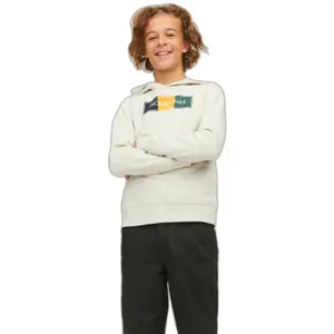Sweatshirt hooded child Jack & Jones Codyy SN image-2