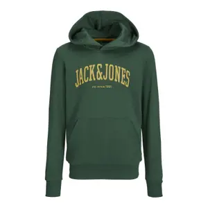 Child hoodie Jack & Jones Josh image-0
