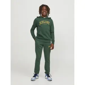 Child hoodie Jack & Jones Josh image-2