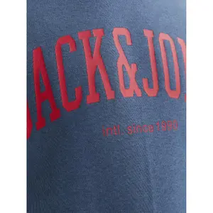 Child hoodie Jack & Jones Josh image-4