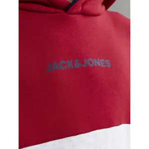 Kinder-Hoodie Jack & Jones Jjereid Blocking image-6