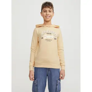 Child hoodie Jack & Jones Logo 2 Col 24 image-1