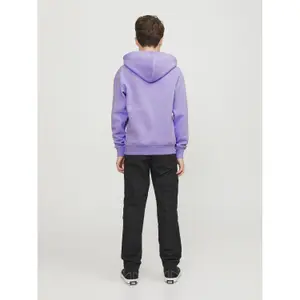 Hoodie Kinder Jack & Jones Star image-3