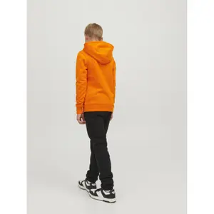 Sweatshirt child Jack & Jones Dust image-2