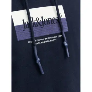 Hoodie Jack & Jones Jordalston image-6