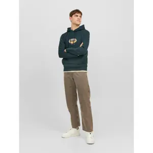 Hoodie Jack & Jones Jordalston image-1