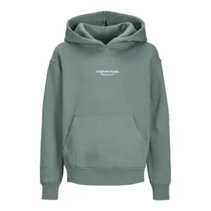 Child hoodie Jack & Jones Vesterbro image-0