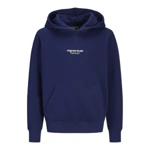 Child hoodie Jack & Jones Vesterbro image-0