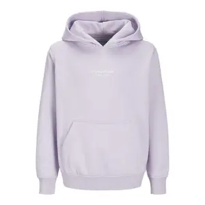 Child hoodie Jack & Jones Vesterbro image-0