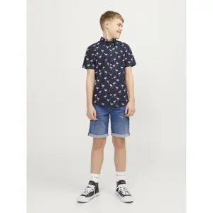 Children's shorts Jack & Jones Rick Icon GE 633 image-2