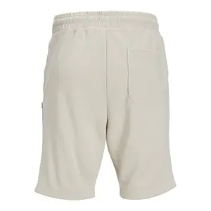 Pantalón corto Jack & Jones Gordon Bradley image-1