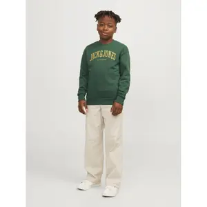 Sweatshirt round neck child Jack & Jones Josh image-2