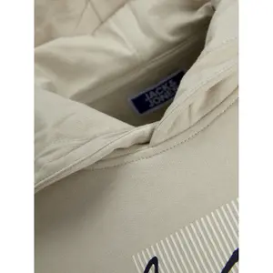 Child hoodie Jack & Jones Zuri image-5