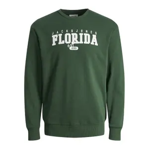 Sweatshirt Crewneck child Jack & Jones Cory