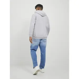 Sweatshirt à capuche grande taille Jack & Jones Jjebradley image-3