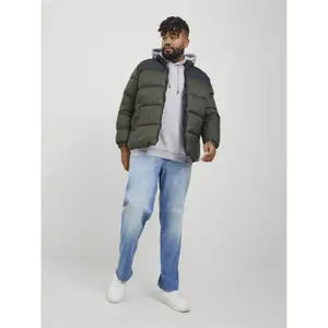 Sweatshirt à capuche grande taille Jack & Jones Jjebradley image-2