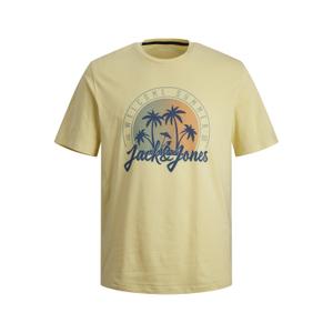 12256888-4498098-detske-tricko-s-kulatym-vystrihem-jack-jones-summer-smu-vibe-french-vanilla