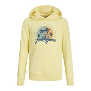 Sweatshirt à capuche enfant Jack & Jones Summer SMU Vibe