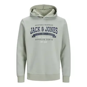 Child hoodie Jack & Jones Logo 23/24 image-0