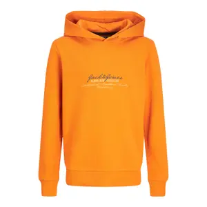 Child hoodie Jack & Jones Great B2S Logo image-0