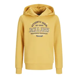 Children's hoodie sweatshirt with logo Jack & Jones image-0