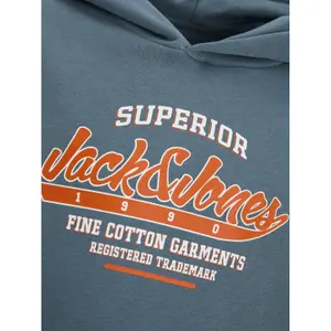 Hooded sweatshirt with children's logo collar Jack & Jones image-2