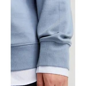 Sweatshirt Jack & Jones Blachad branding image-5