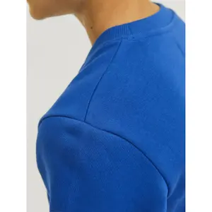 Sweatshirt child Jack & Jones Mountain Logo image-6