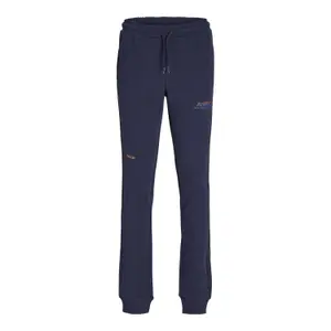 Kids' joggers Jack & Jones Great B2S Logo image-0