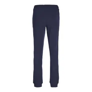 Kids' joggers Jack & Jones Great B2S Logo image-1