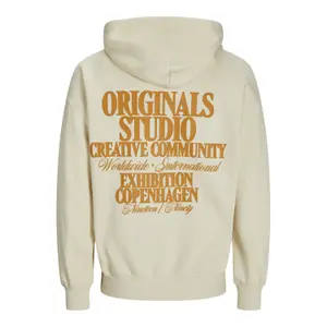 Child hoodie Jack & Jones Roxbury Back image-1