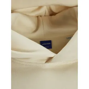 Sudadera con capucha Jack & Jones Roxbury Back image-3