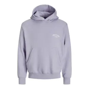 Camisola com capuz Jack & Jones Roxbury Back image-0