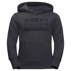 Teenage hoodie Jack Wolfskin brand image-0