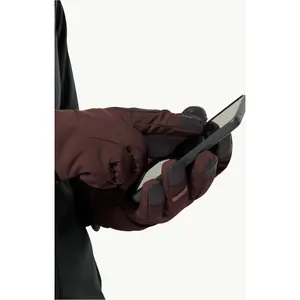 Merino gloves Jack Wolfskin Alpspitze image-1