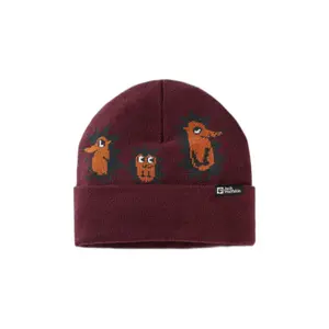 Kindermütze Jack Wolfskin Gleely image-0