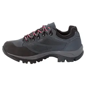 Wanderschuhe für Damen Jack Wolfskin Rebellion Texapore Low image-1