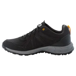 Sapatos para caminhadas Jack Wolfskin Woodland 2 Texapore Low GT image-1