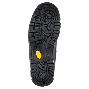 Wanderschuhe für Frauen Jack Wolfskin Rebellion Guide Texaporeid Mid image-4