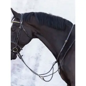 Martingale pour cheval Jacson Cincinatti image-0