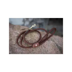 Laisse pour chien Jacson Alba image-2