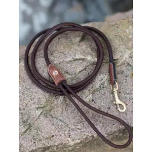 Laisse pour chien Jacson Alba image-1