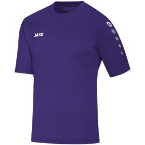 4233-e-485-kindertrikot-jako-team-violett