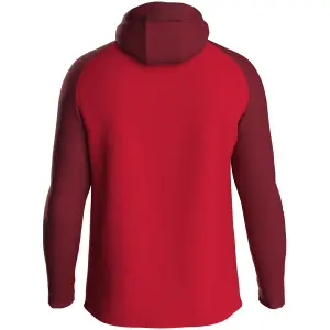 Children's full-zip hooded tracksuit jacket Jako Iconic image-1