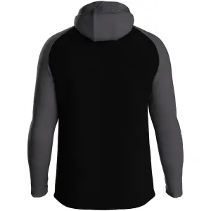 Children's full-zip hooded tracksuit jacket Jako Iconic image-1