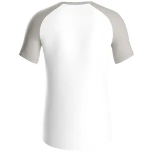 Camisola SG Dynamo Dresden Iconic 2024/25 image-1